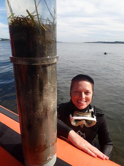 Coring Sea Grass

Credit: Thorsten Reusch / GEOMAR