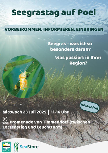 Am 23. Juli haben Sie auf Poel die Gelegenheit, einige der Fachleute aus dem SeaStore-Team persönlich zu treffen.
Sie möchten mehr erfahren über unsere Vorhaben und wo wir aktiv sind? Wie untersucht man eigentlich die Seegraswiederansiedlung in der Ostsee? 
