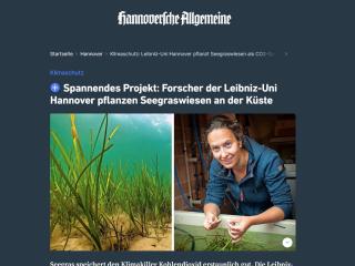 Spannendes Projekt: Forscher der Leibniz-Uni Hannover pflanzen Seegraswiesen an der Küste