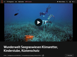 Wunderwelt Seegraswiesen: Klimaretter, Kinderstube, Küstenschutz