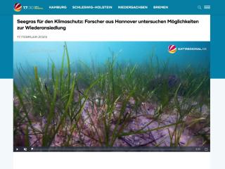 SAT.1: Seegras für den Klimaschutz