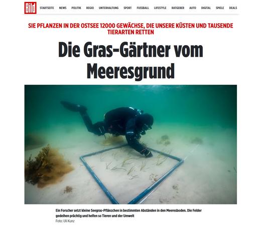 Die Gras-Gärtner vom Meeresgrund