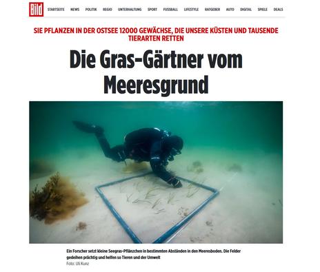 Die Gras-Gärtner vom Meeresgrund