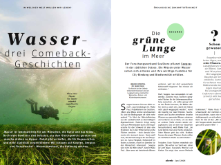 dm-Magazin alverde: Interview mit Dr. Maike Paul