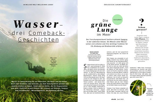 dm-Magazin alverde: Interview mit Dr. Maike Paul
