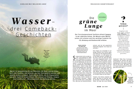 dm-Magazin alverde: Interview mit Dr. Maike Paul