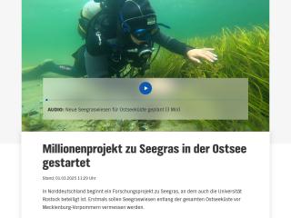 Millionenprojekt zu Seegras in der Ostsee gestartet