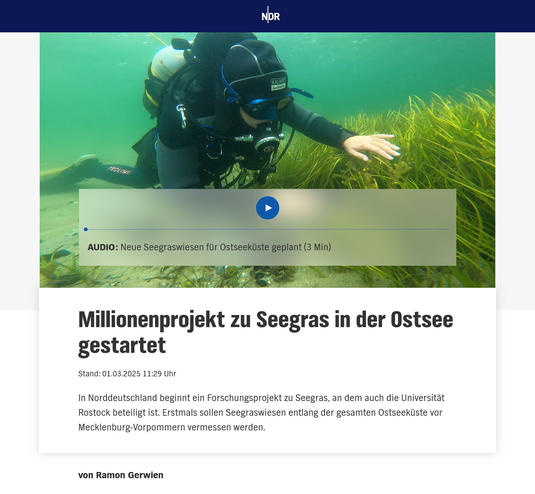 Millionenprojekt zu Seegras in der Ostsee gestartet