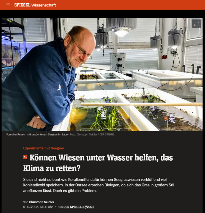 Spiegel Wissenschaft: