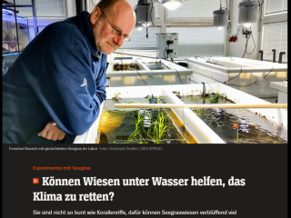 Spiegel Wissenschaft: