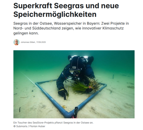 SeaStore bei deutschland.de