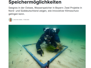 SeaStore bei deutschland.de