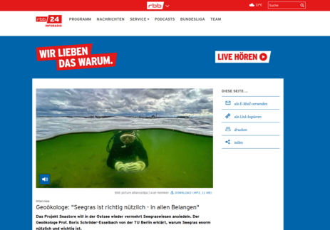 rbb24-Interview: "Seegras ist richtig nützlich - in allen Belangen"