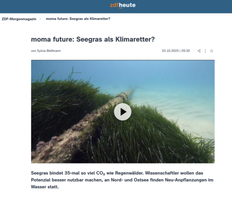 moma future: Seegras als Klimaretter?