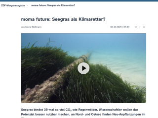 moma future: Seegras als Klimaretter?