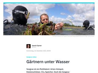 Seegras retten: Gärtnern unter Wasser