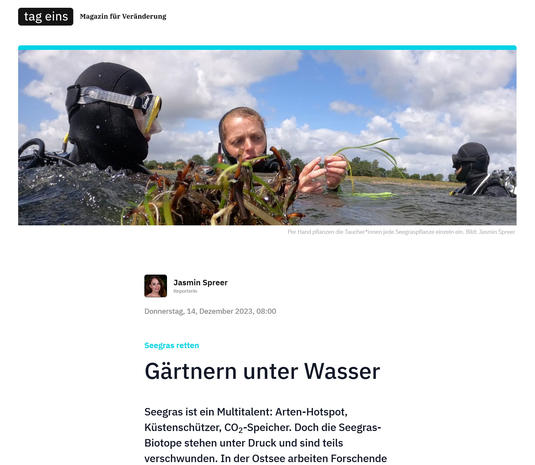 Seegras retten: Gärtnern unter Wasser
