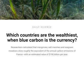 Which countries are the wealthiest, when blue carbon is the currency?