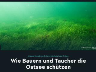 Umweltschutz in der Ostsee: Wie Bauern und Taucher die Ostsee schützen