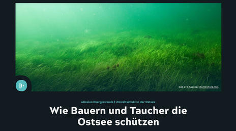 Umweltschutz in der Ostsee: Wie Bauern und Taucher die Ostsee schützen