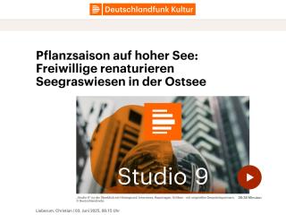 Deutschlandfunk: Pflanzsaison auf hoher See - Freiwillige renaturieren Seegraswiesen in der Ostsee