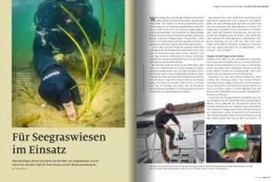 natur-Zeitschrift: Für Seegraswiesen im Einsatz