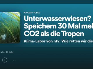 Unterwasserwiesen? Speichern 30 mal mehr CO2 als die Tropen
