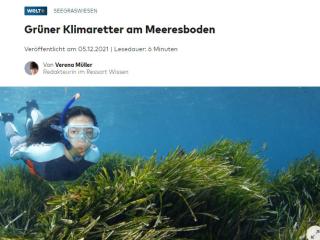 Grüner Klimaretter am Meeresboden
