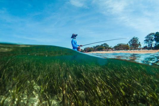 Seagrass meadows are among the most valuable and productive marine habitats. They protect coasts by slowing waves and holding the sandy ground together with their roots. They offer a source of shelter and food for countless thousands of juvenile fish, clams, crabs and other marine fauna, contributing to marine biodiversity in the process. Accordingly, they also help ensure that millions of people around the globe have enough fish and seafood to eat.
© Ben Jones / Ocean Image Bank