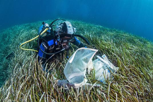 Credits: Dimitris Poursanidis / Ocean Image Bank