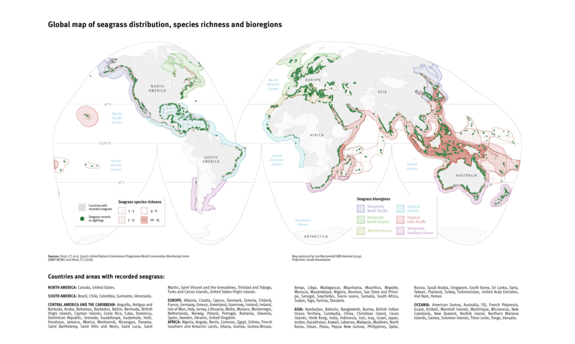 Global map of seagrass distribution, species richness and bioregions