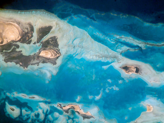 Manche der Meereswiesen sind so groß, dass Astronauten sie mithilfe eines langen Kameraobjektives aus dem Weltall fotografieren konnten.

Credit: William L. Stefanov, NASA-JSC. - https://earthobservatory.nasa.gov/images/8593/al-wadj-bank-saudi-arabia